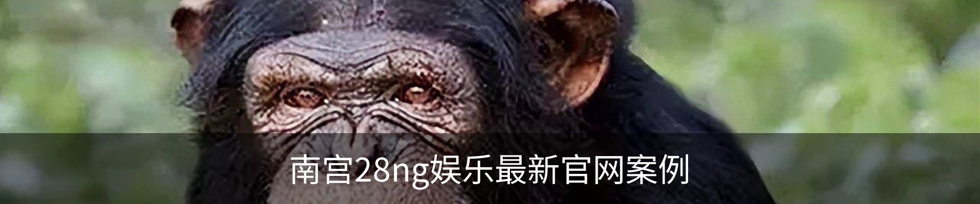 南宫28ng娱乐最新官网案例