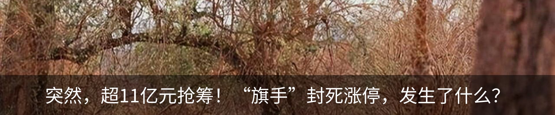 新闻动态