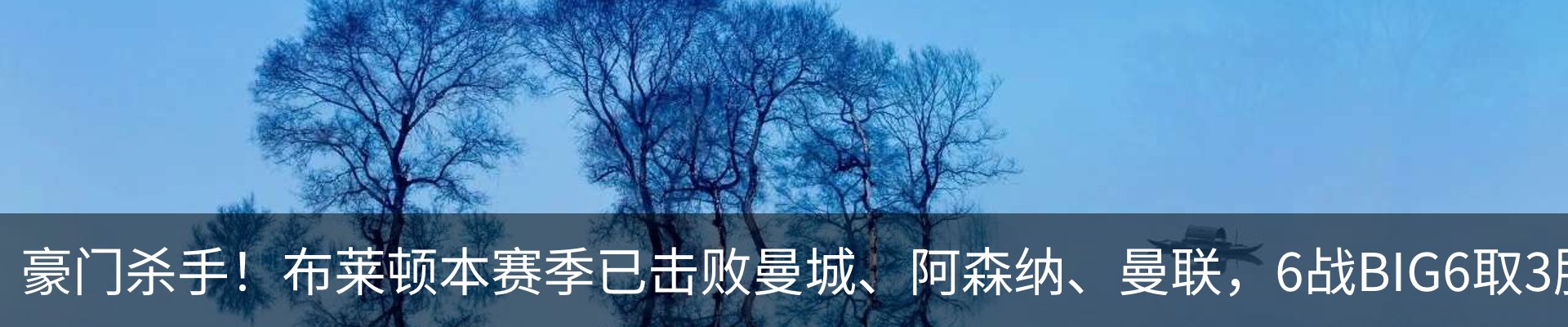 新闻动态